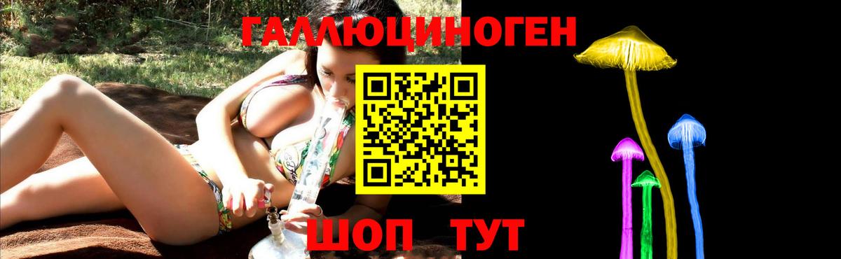 Галлюциногенные грибы Cubensis  Галлюциногенные грибы GOLDEN TEACHER  Волжск  Вход с VPN 